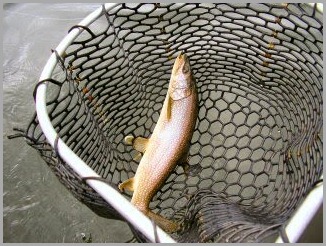 blog_Aug_15_2010_4[1]