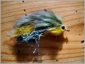 blog_Aug_15_2010_7[1]