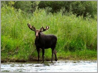 blog_Aug_20_2010_3[2]