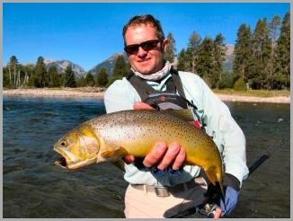 blog_Aug_26_2010_3[1]