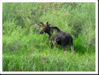 blog_Aug_6_2010_4[2]