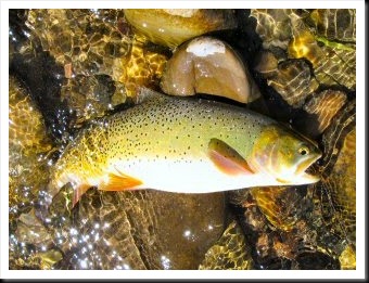 blog_Aug_6_2010_6[4]