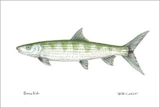 blog_august_3_2010_1[1]