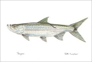 blog_august_3_2010_3[1]