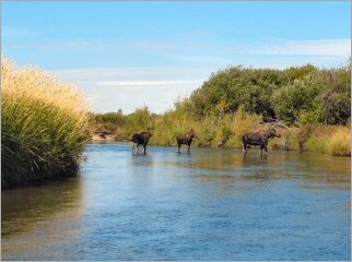 blgo_Sept_21_2010_4[2]