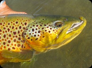 blog_Seept_27-28_2010_7[2]