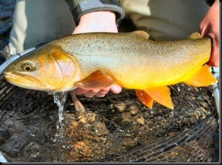 blog_Sept_11_2010_5[1]