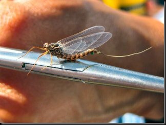 blog_Sept_12_2010_6[1]