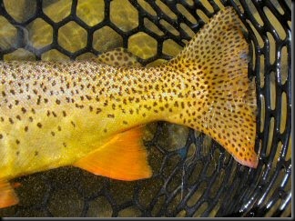 blog_Sept_12_2010_7[1]