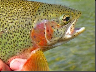 blog_Sept_12_2010_8[1]