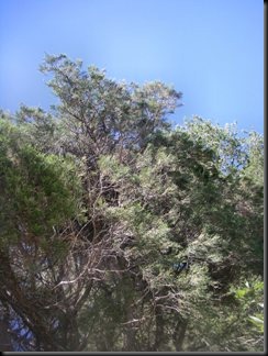 blog_Sept_12_2010_9[1]