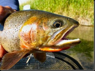 blog_Sept_20_2010_4[1]