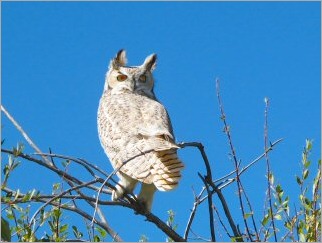 blog_Sept_21_2010_1[1]