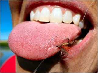 blog_Sept_21_2010_3[1]