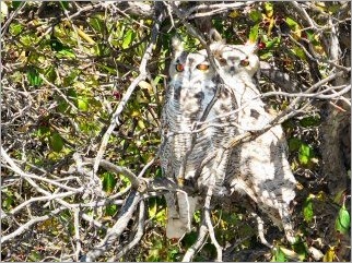 blog_Sept_21_2010_5[1]