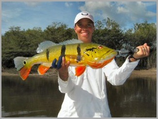 blog_Sept_25_2010_1[1]