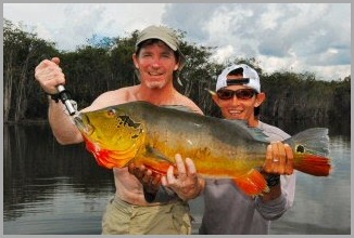 blog_Sept_25_2010_6[1]