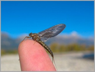 blog_Sept_26_2010_4[1]