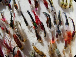 blog_Sept_27-28_2010_4[1]