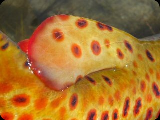 blog_Sept_27-28_2010_9[1]