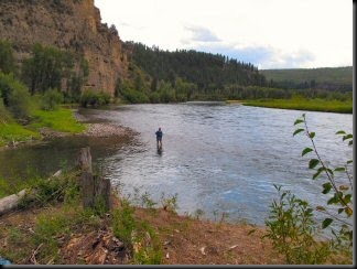 blog_Sept_8_2010_1[1]