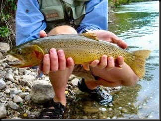 blog_Sept_8_2010_7[1]