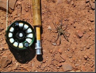 blog_Oct_12_2010_8[1]