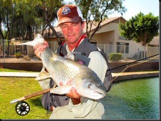 blog_Oct_13_2010_10[1]