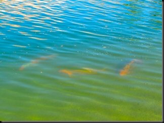 blog_Oct_13_2010_3[2]