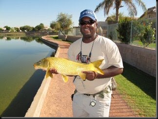 blog_Oct_13_2010_4[2]