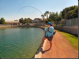 blog_Oct_13_2010_5[1]