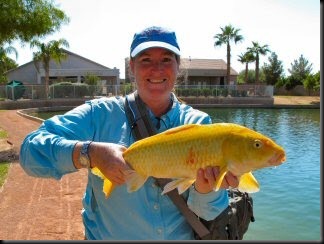 blog_Oct_13_2010_6[1]