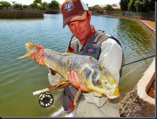 blog_Oct_13_2010_7[1]