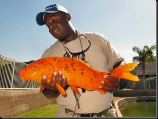 blog_Oct_13_2010_8[2]