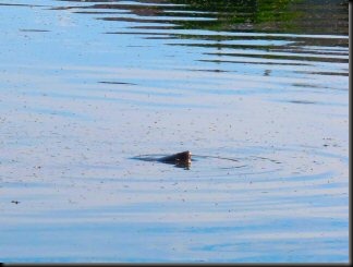 blog_Oct_13_2010_9[1]