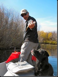 blog_Oct_18_2010_1[1]