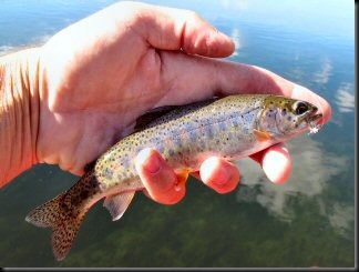 blog_Oct_18_2010_2[1]