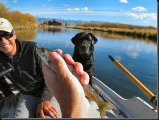 blog_Oct_18_2010_3[1]