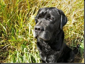 blog_Oct_18_2010_5[1]