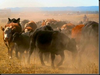 blog_Oct_1_2010_3[2]