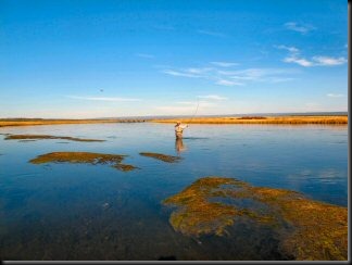 blog_Oct_1_2010_5[1]