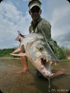 blog_Oct_24_2010_3[1]