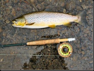 blog_Oct_5-6_2010_3[1]