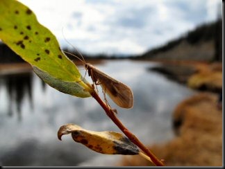 blog_Oct_5-6_2010_4[2]