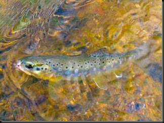 blog_Oct_5-6_2010_8[2]