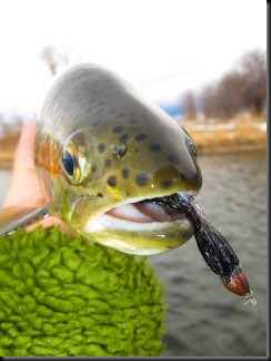 blog_Dec_26_2010_3[1]