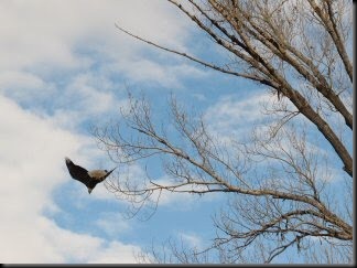 blog_Dec_26_2010_4[1]