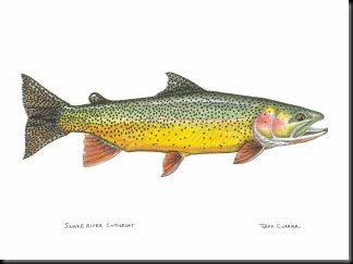 blog_Dec_28_2010_1[1]