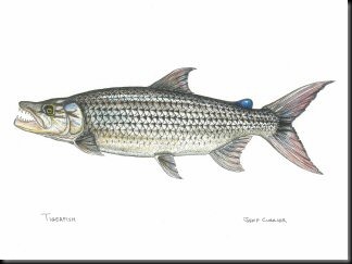 blog_Dec_28_2010_2[1]