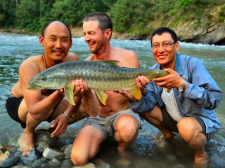 Currier-golden-mahseer